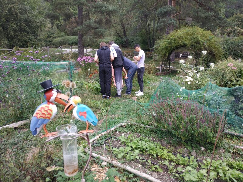 20230919_SAPAT_SORTIETERREVIVANTE_4