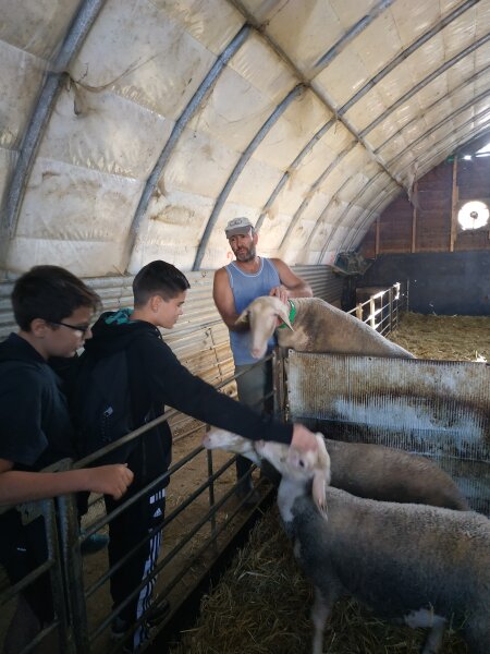 20231012_4_BERGERIE_2