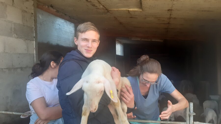 20231012_4_BERGERIE_3