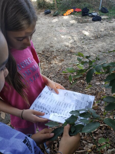 20231012_4_BERGERIE_5